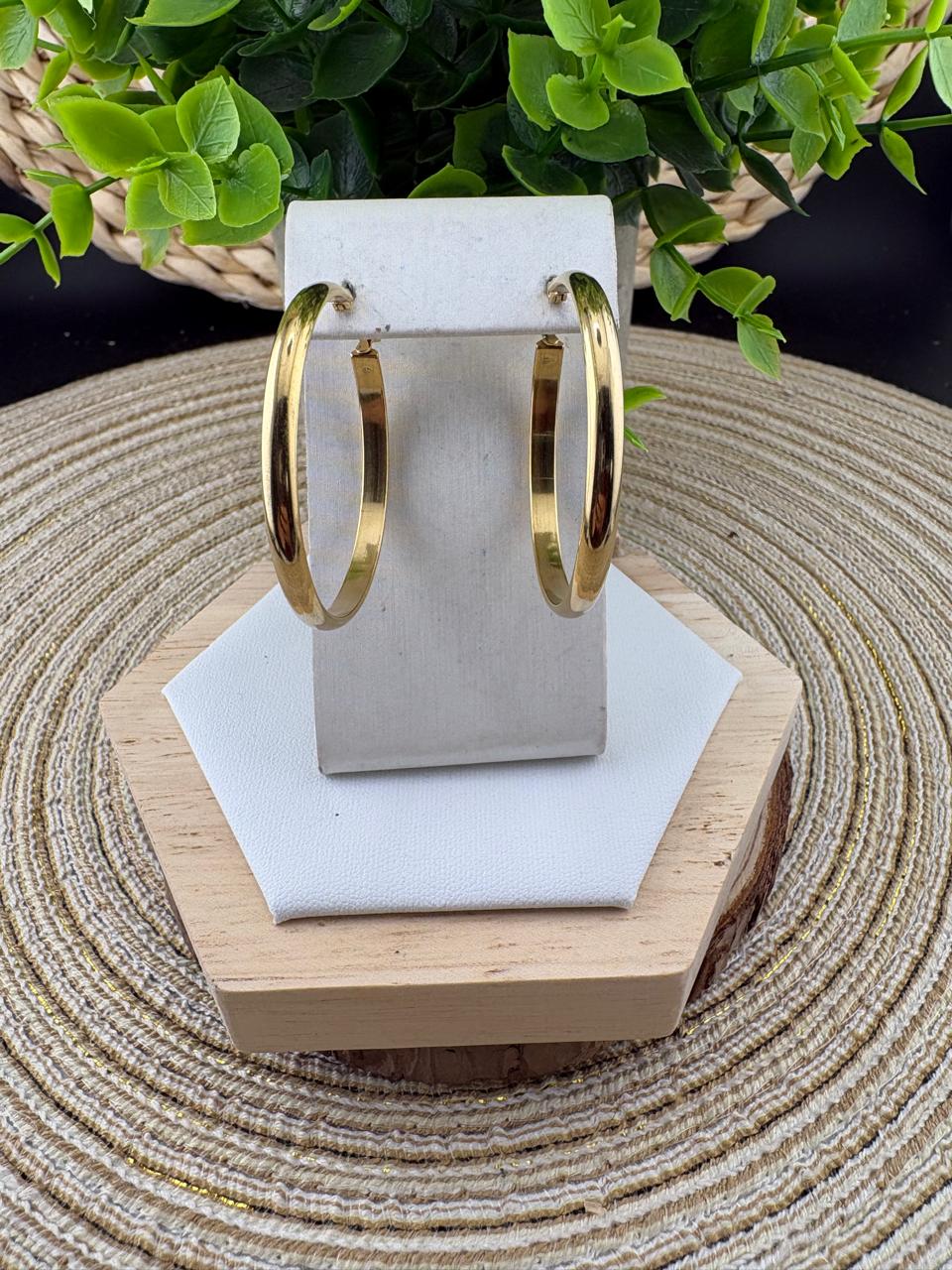 Stainless Steel Earrings #055