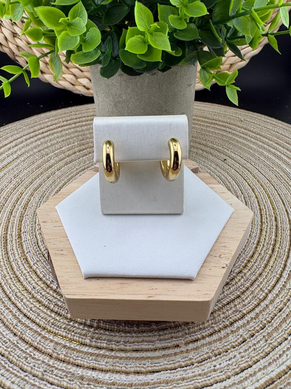 Stainless Steel Earrings #057