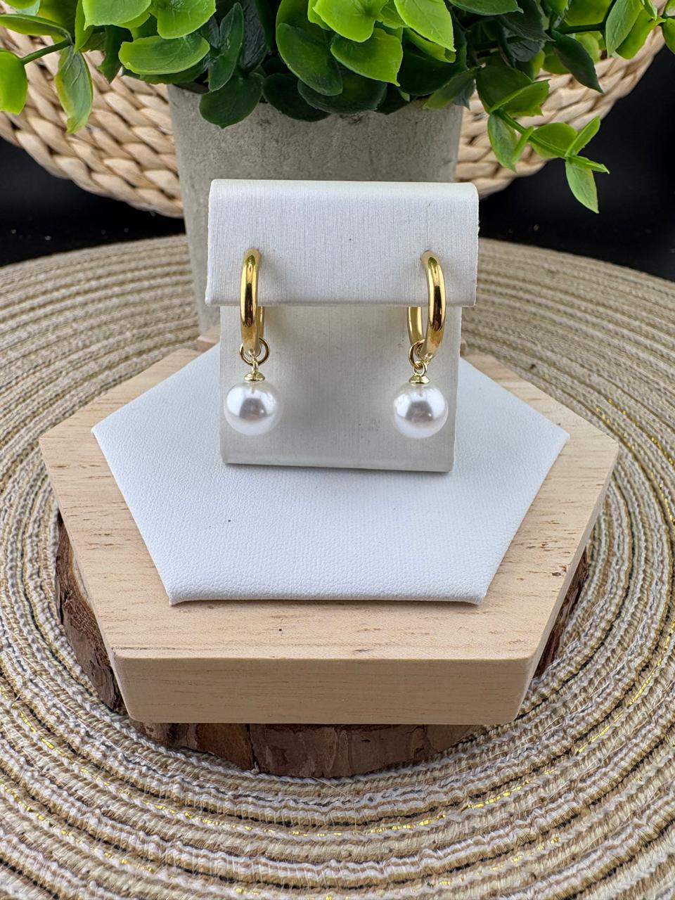 Stainless Steel Earrings #061