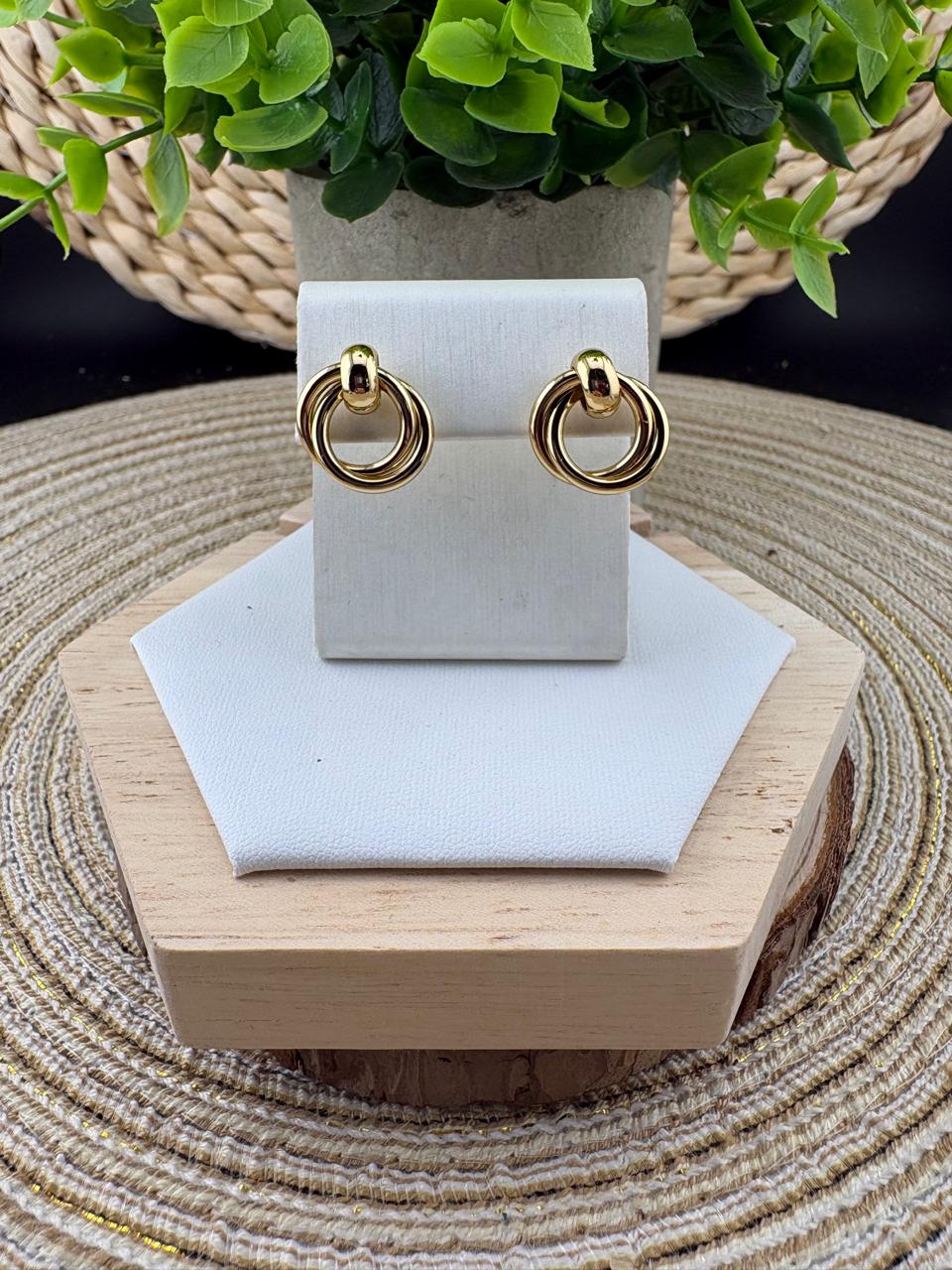 Stainless Steel Earrings #065
