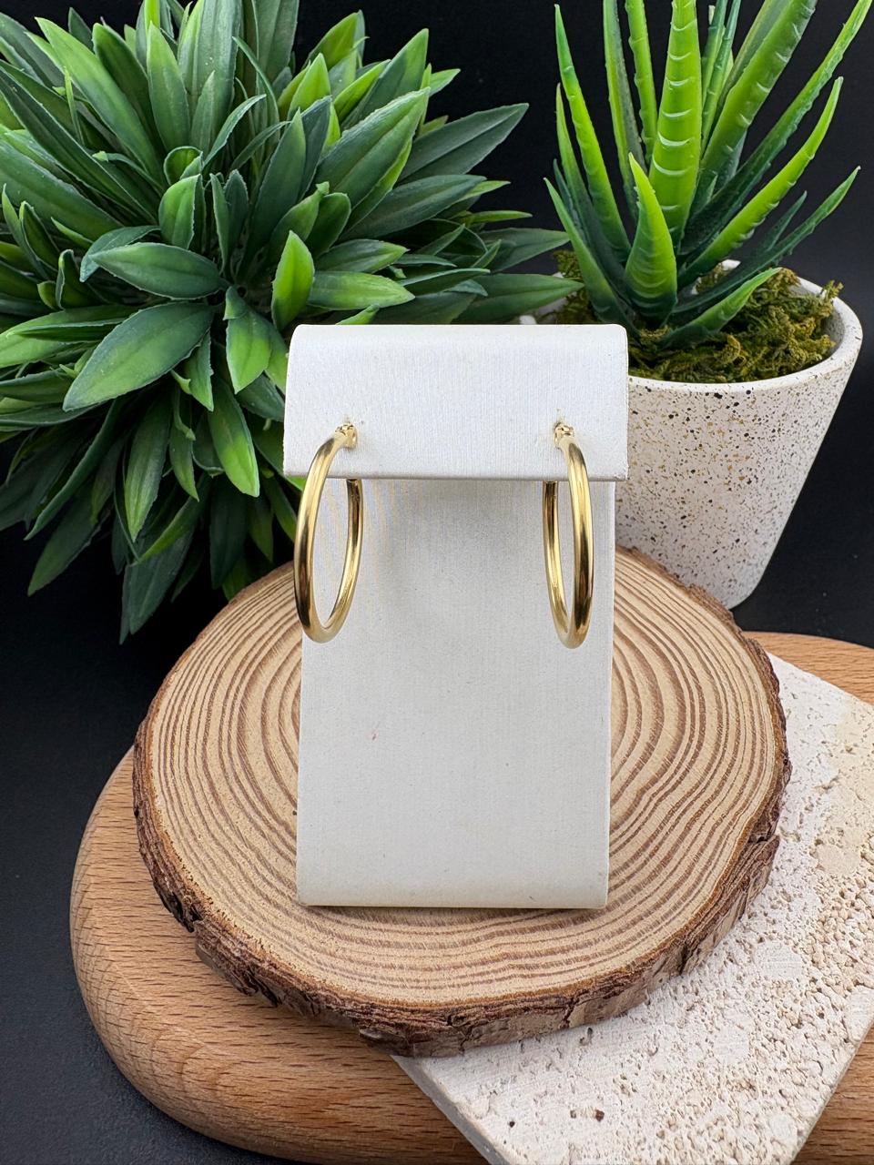 Stainless Steel Earring Hoop 20mm #010