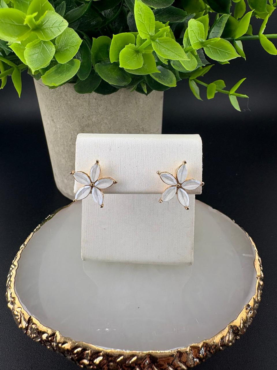 Fashion/Casual Earrings