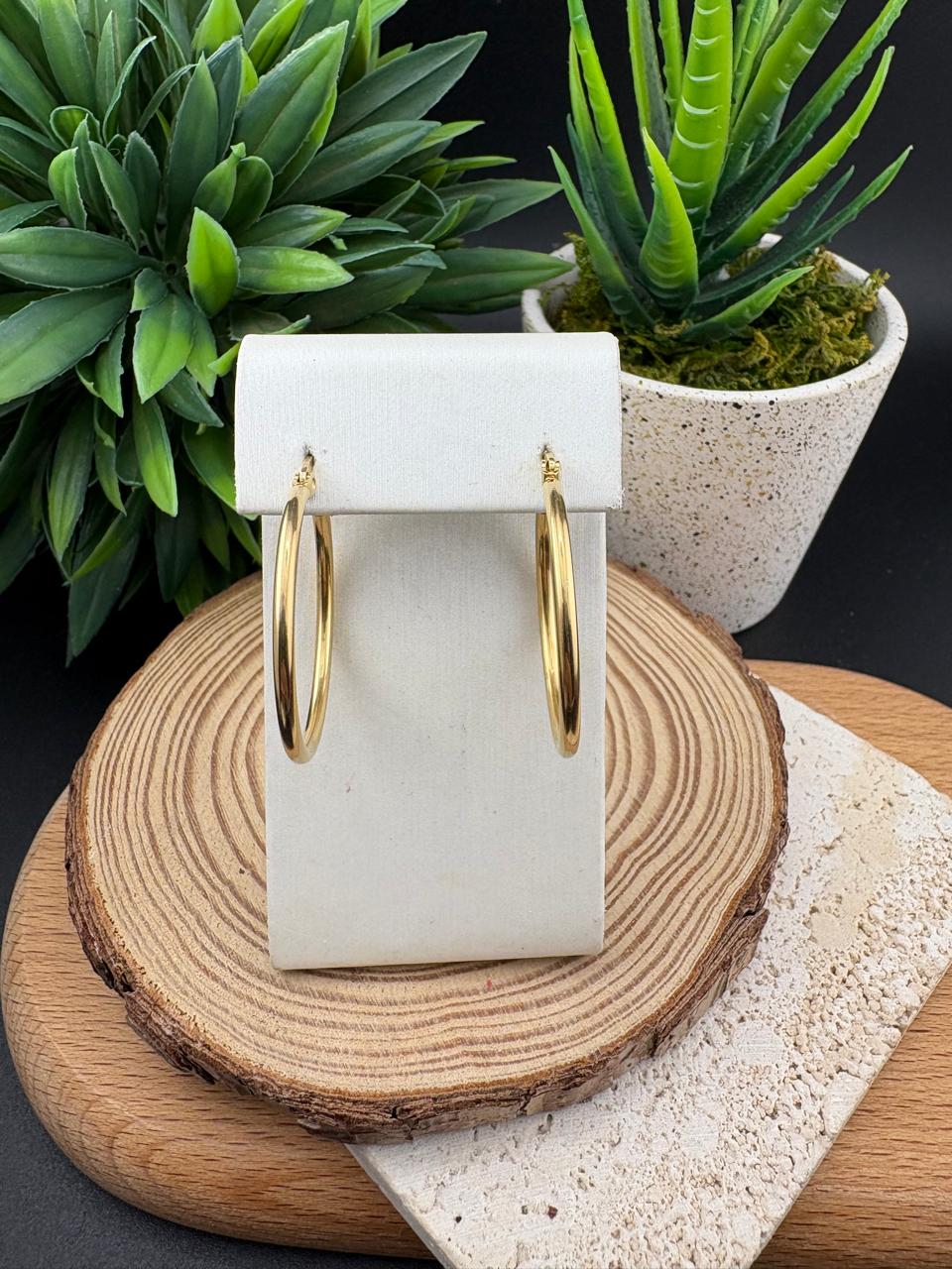 Stainless Steel Earring Hoop 25mm #011