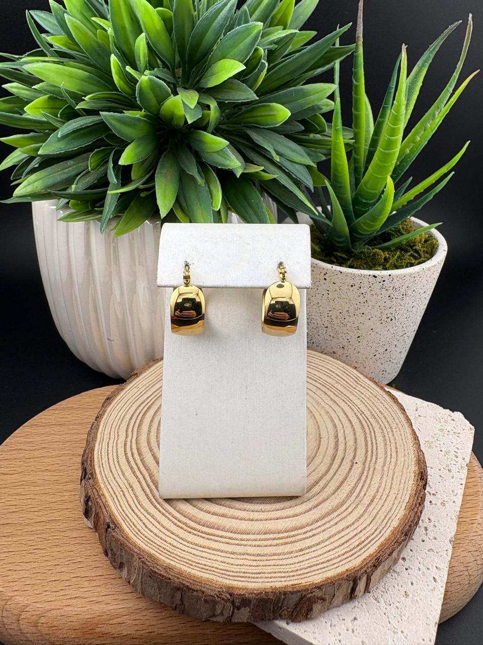 Stainless Steel Earrings Hoop #021