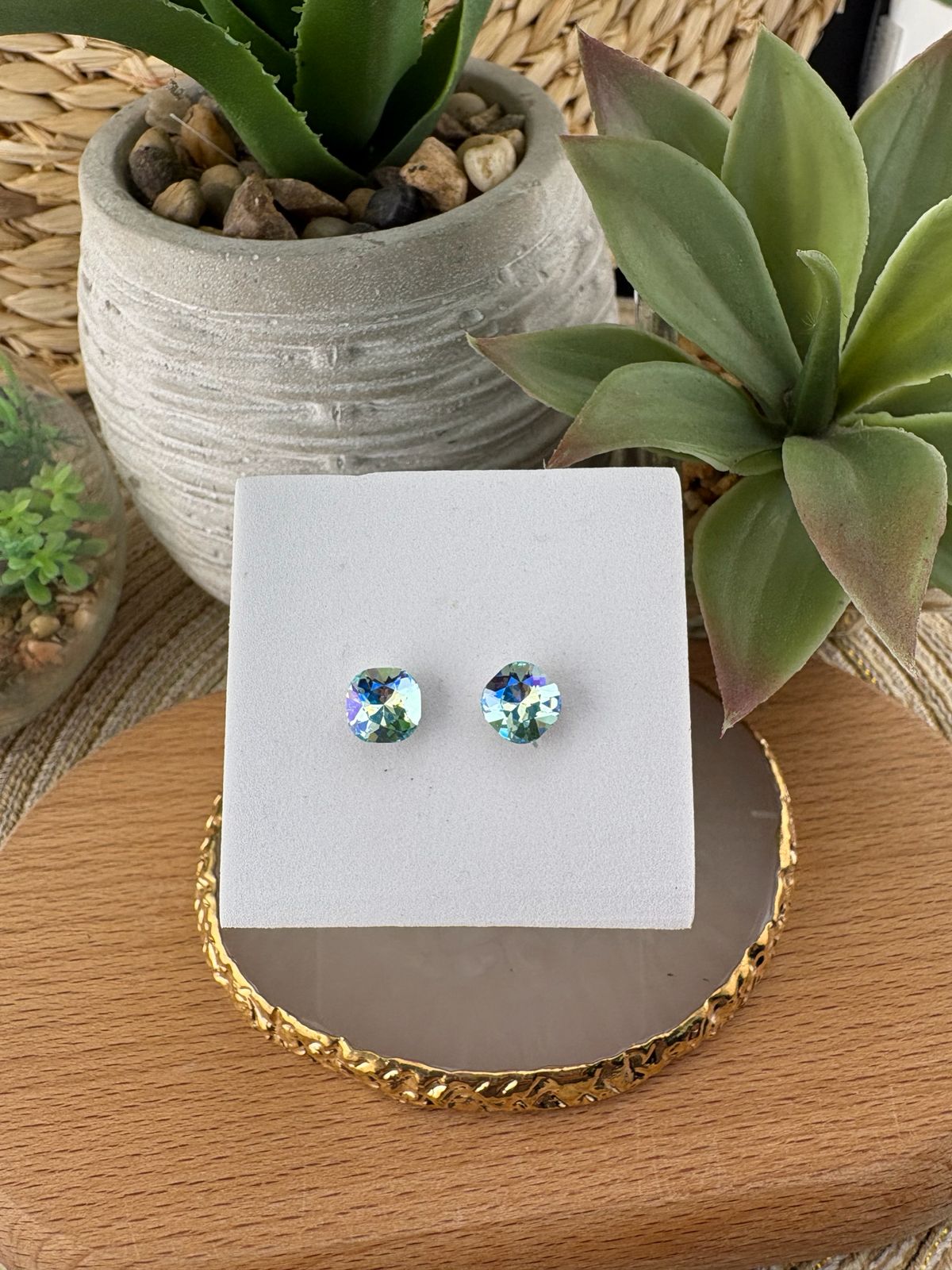 Stainless Steel Earrings #085