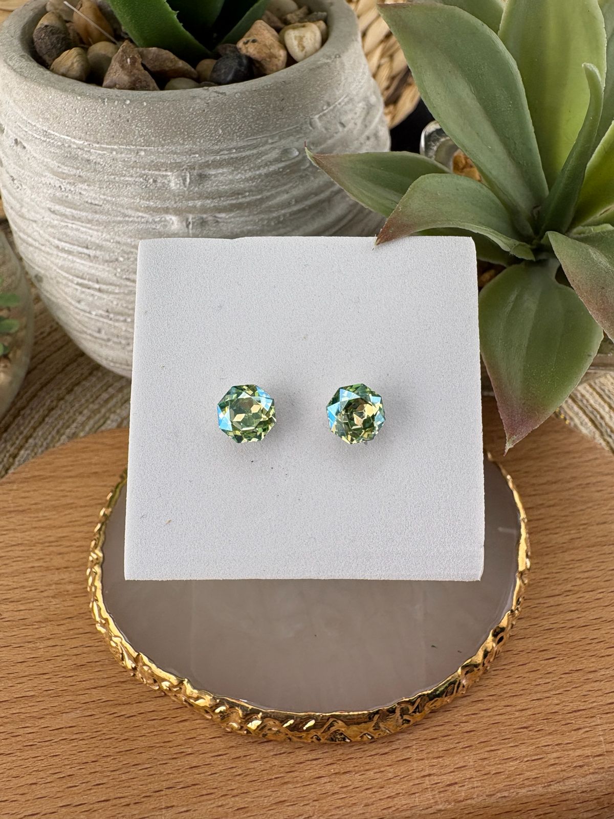 Stainless Steel Earrings #089
