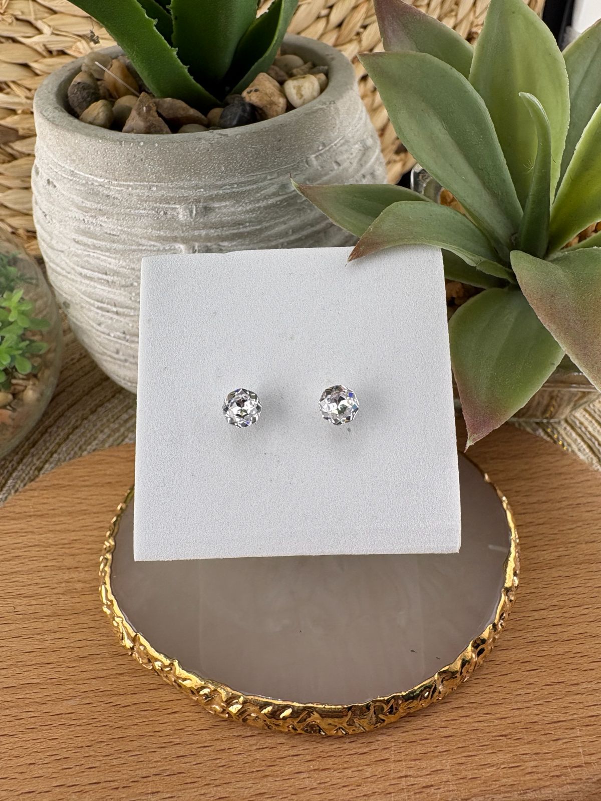 Stainless Steel Earrings #091