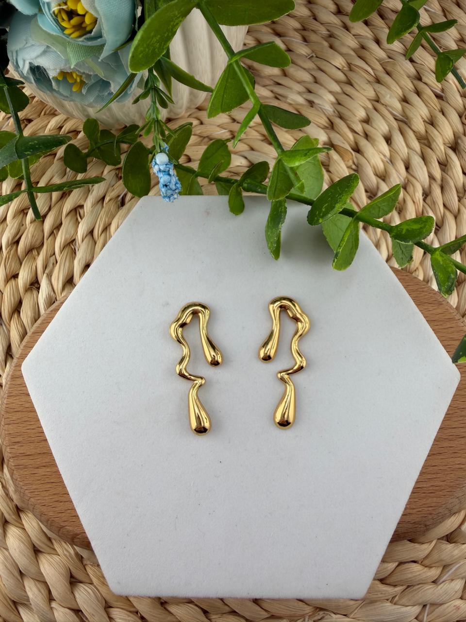 Stainless Steel Earrings #135