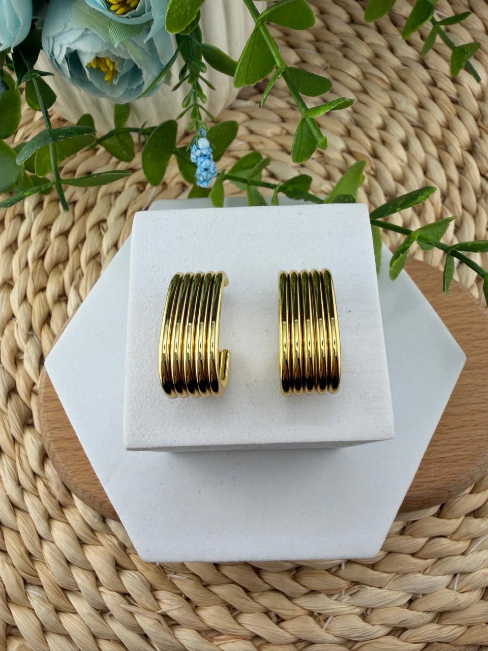 Stainless Steel Earrings #134