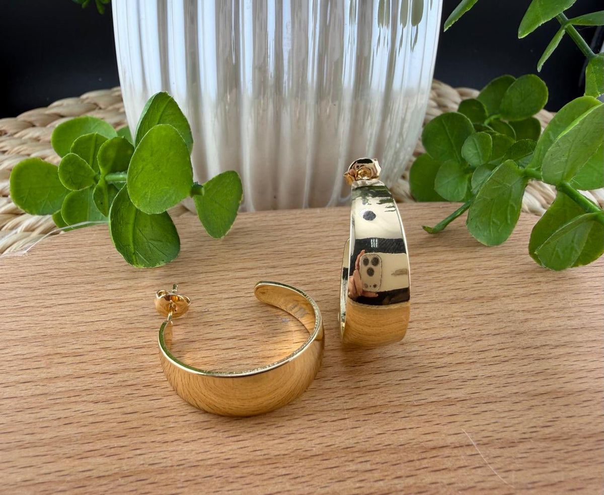 Stainless Steel Earrings #140