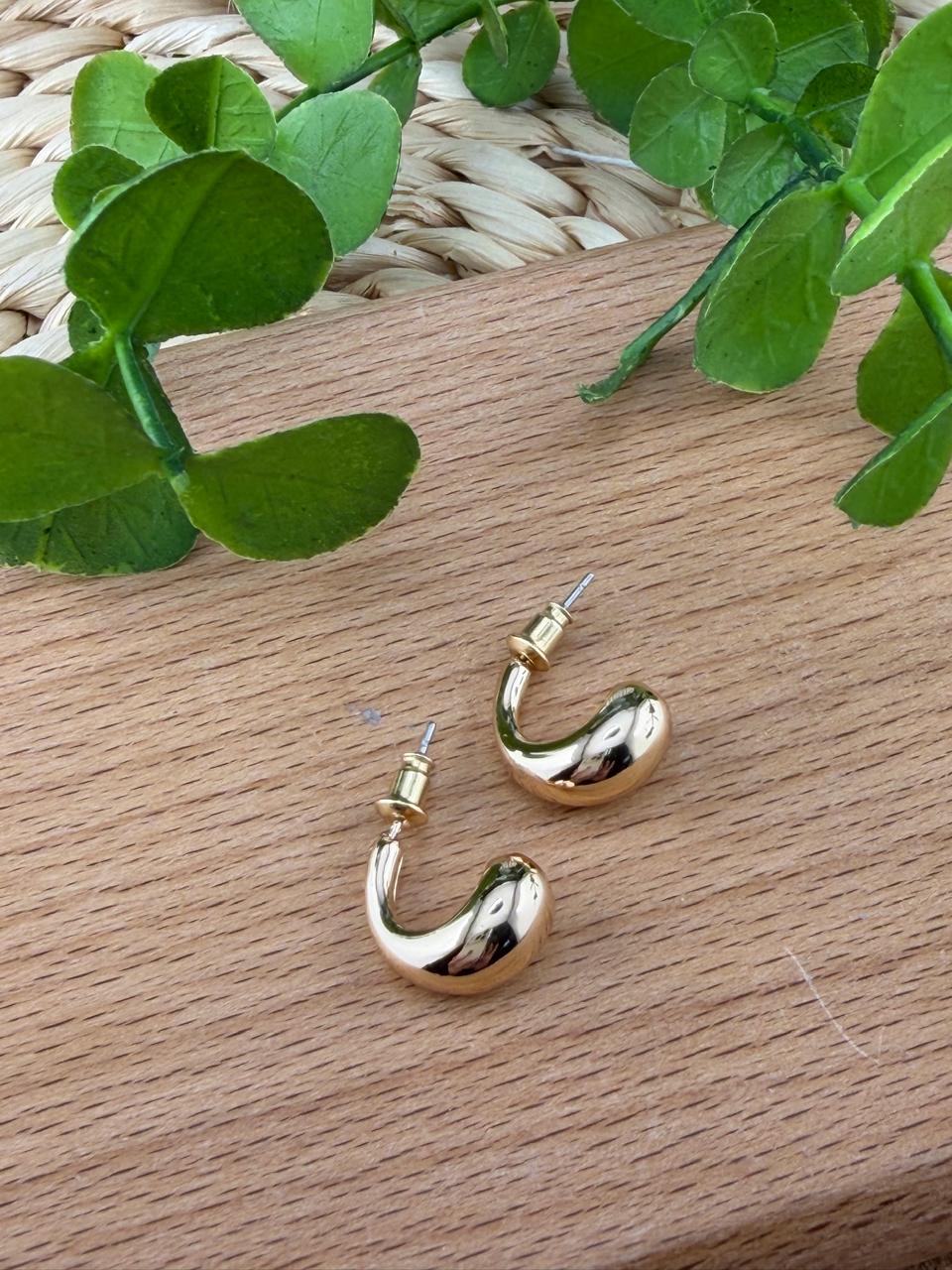Stainless Steel Earrings #141