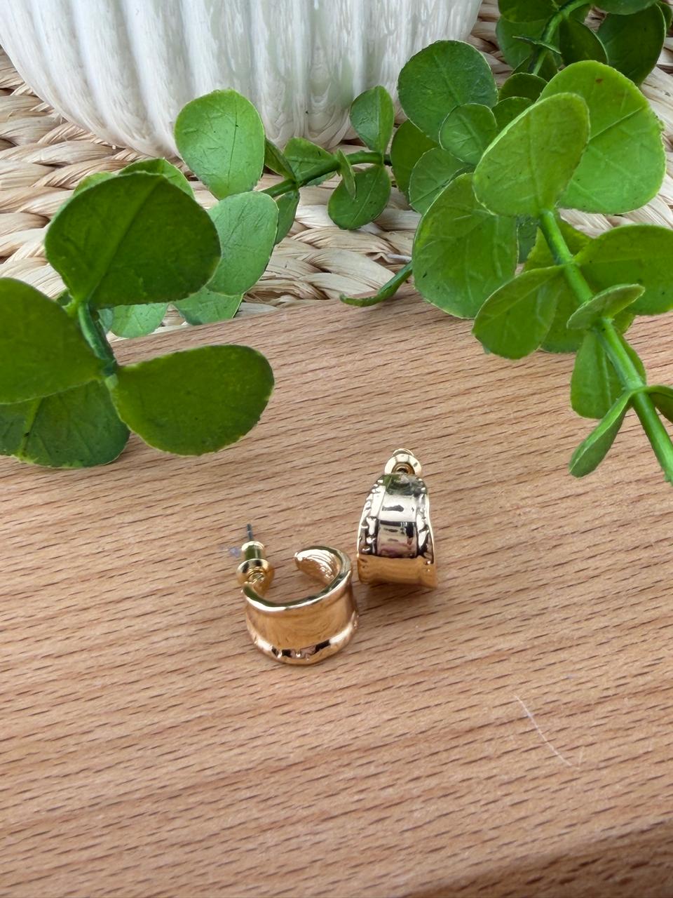 Stainless Steel Earrings #142