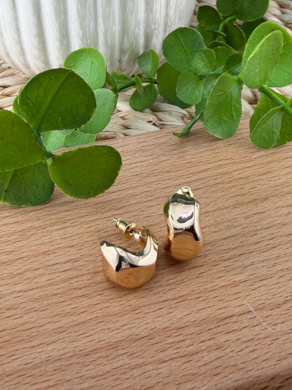 Stainless Steel Earrings #143