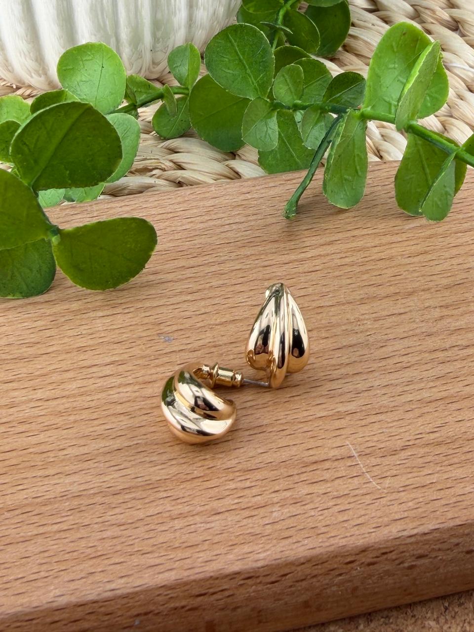 Stainless Steel Earrings #148