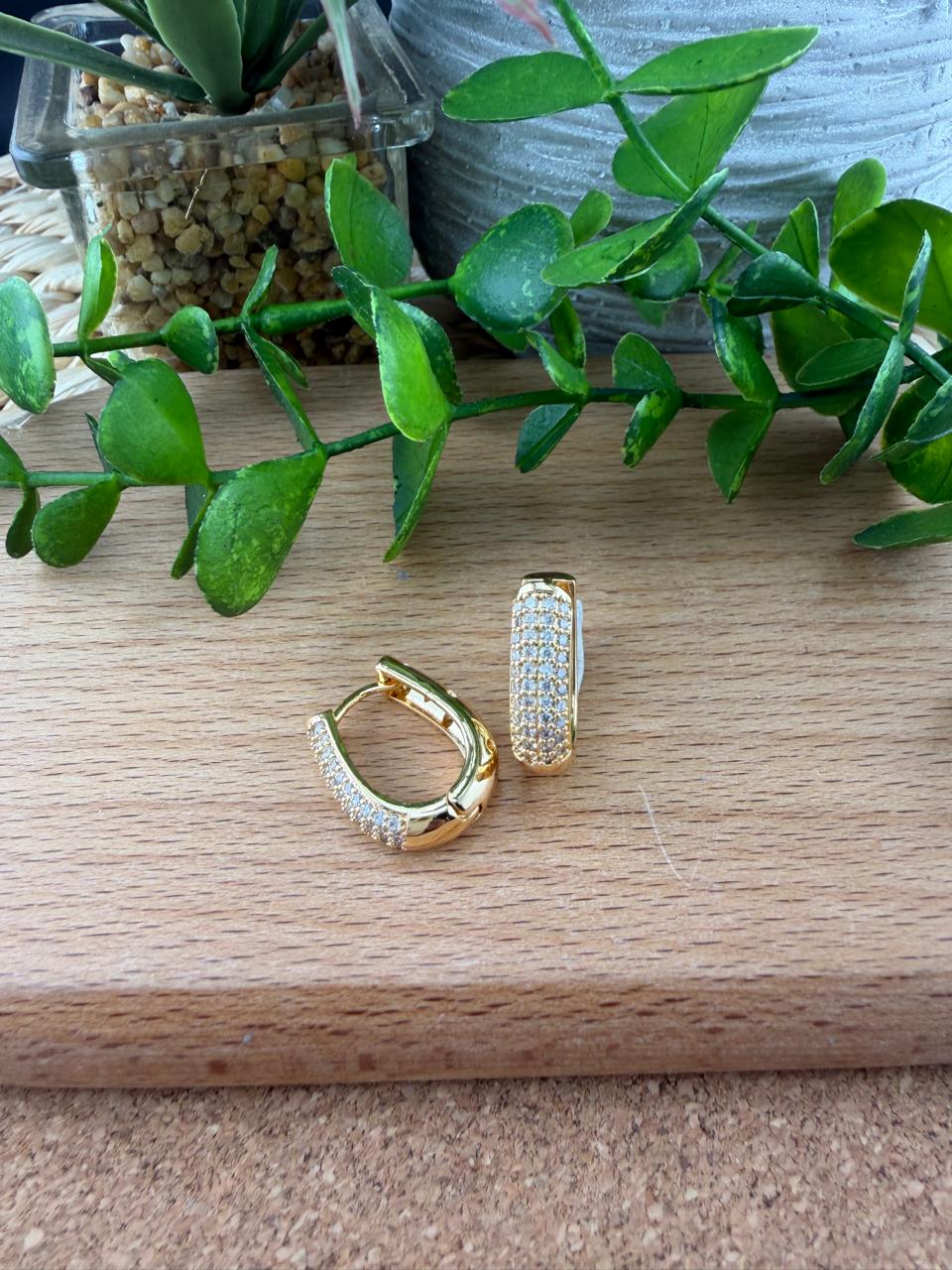 Stainless Steel Earrings #154