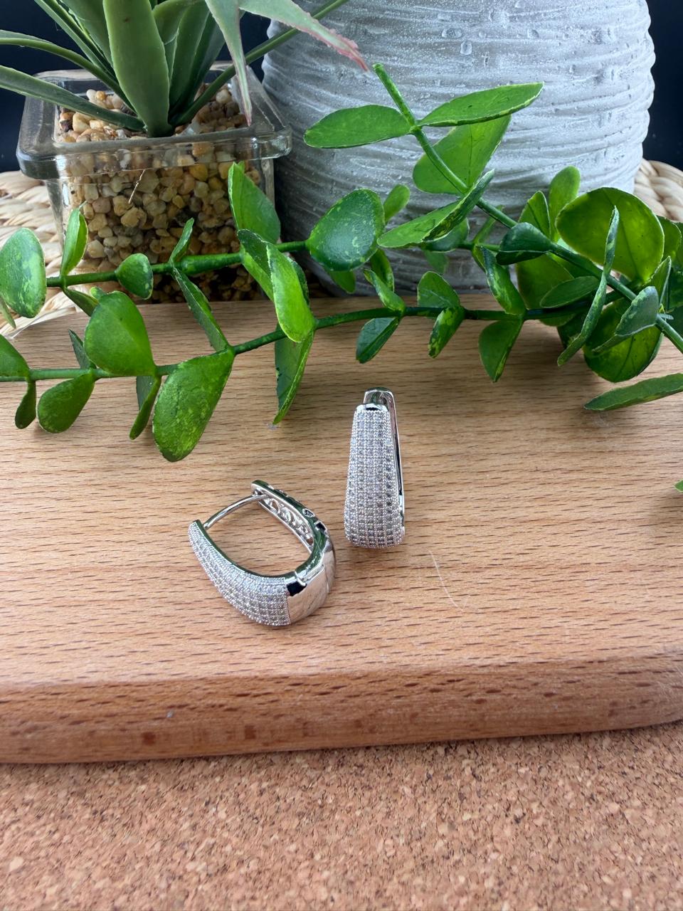 Stainless Steel Earrings #155