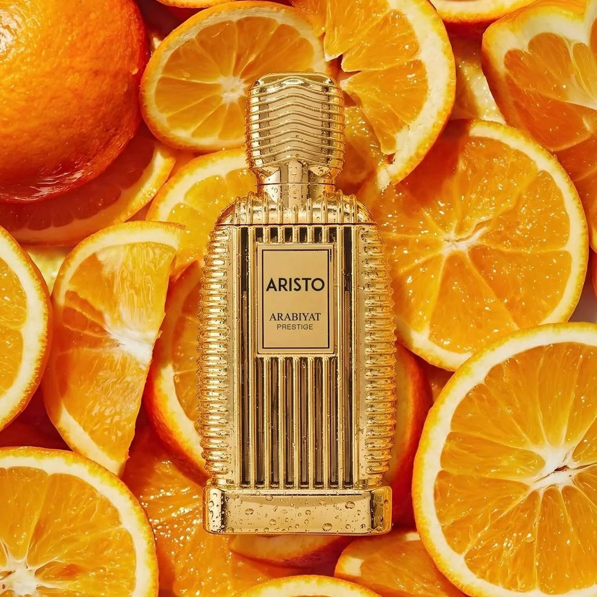 Aristo