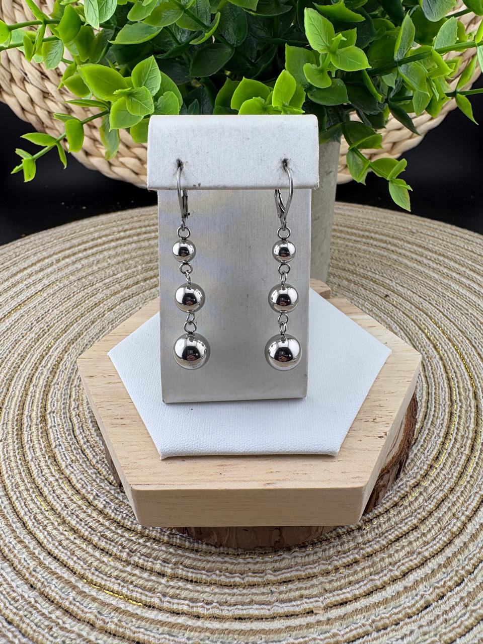 Stainless Steel Earrings #050