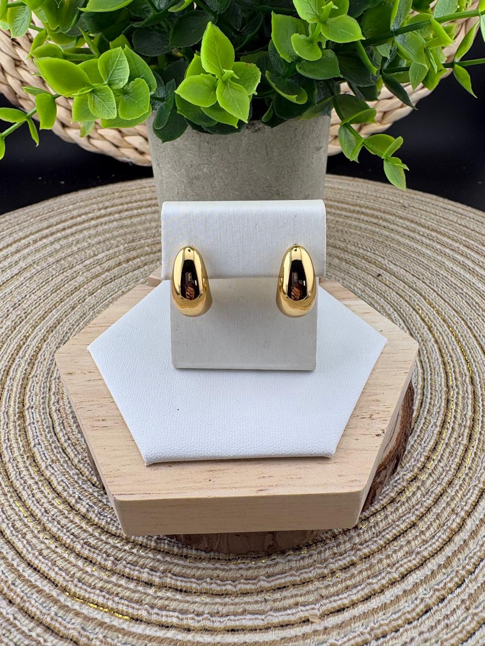 Stainless Steel Earrings #051