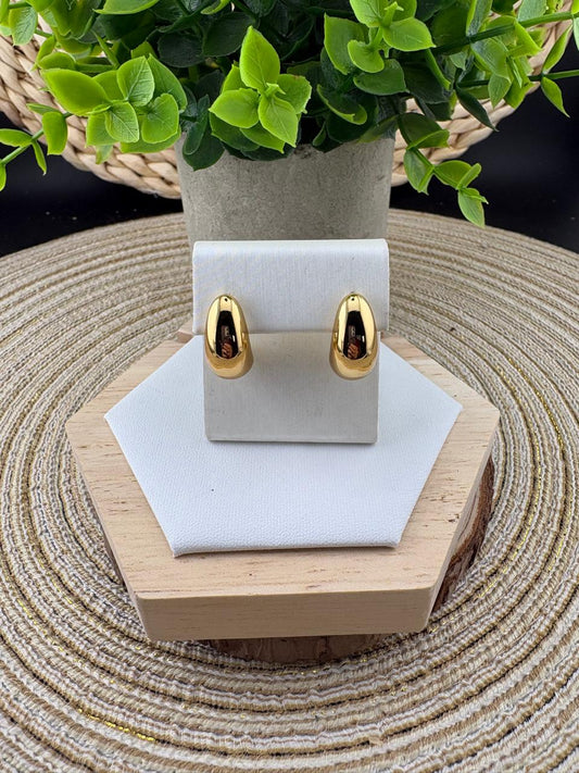 Stainless Steel Earrings #051