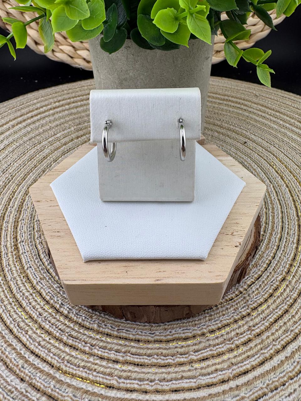 Stainless Steel Earrings #052