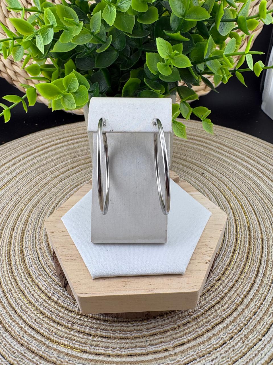 Stainless Steel Earrings #054