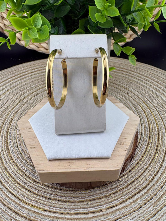 Stainless Steel Earrings #055