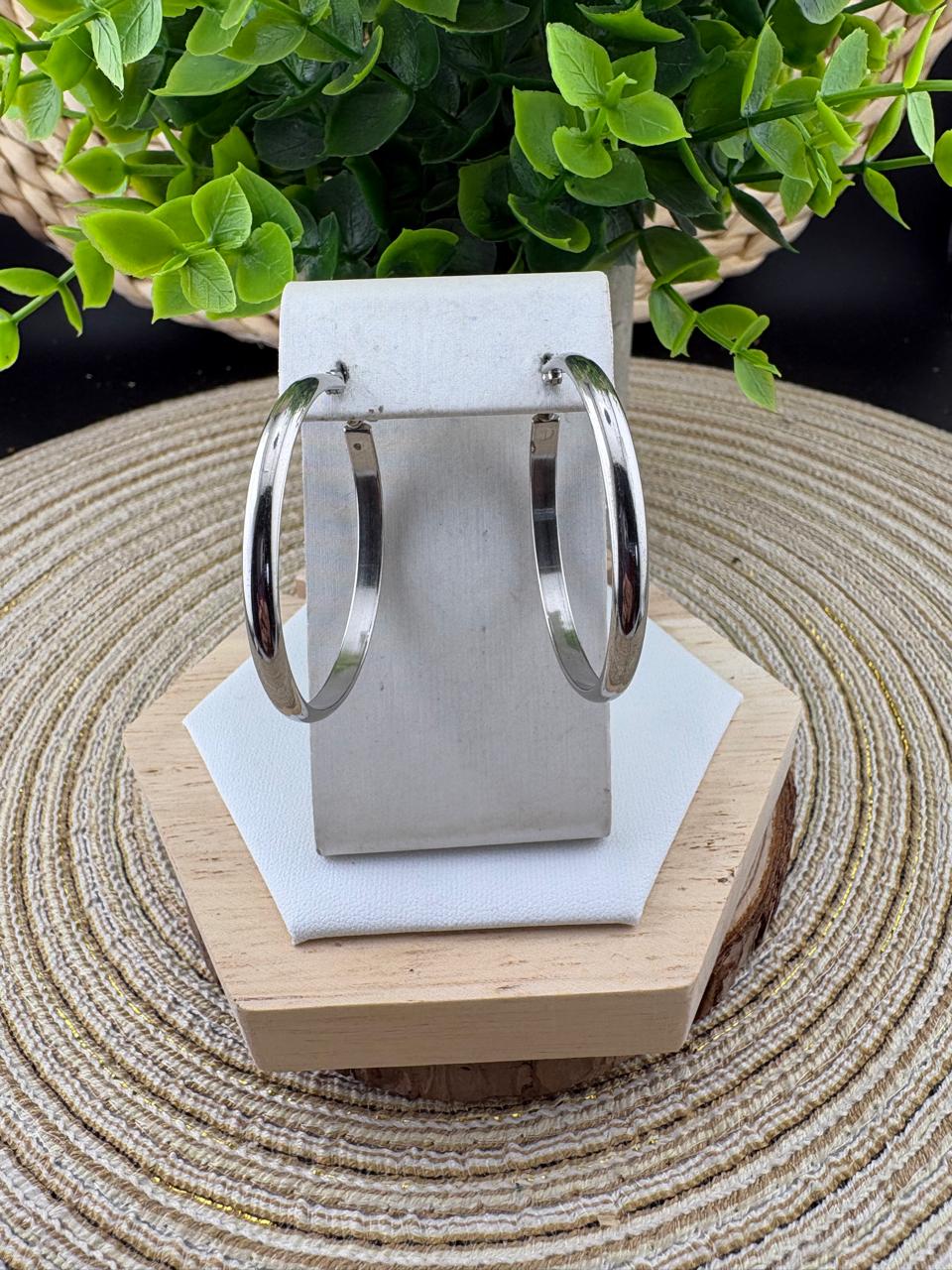 Stainless Steel Earrings #056