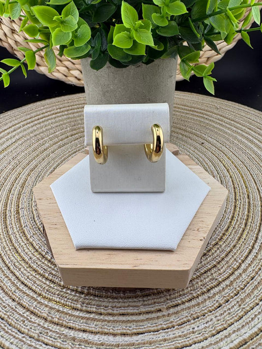 Stainless Steel Earrings #057