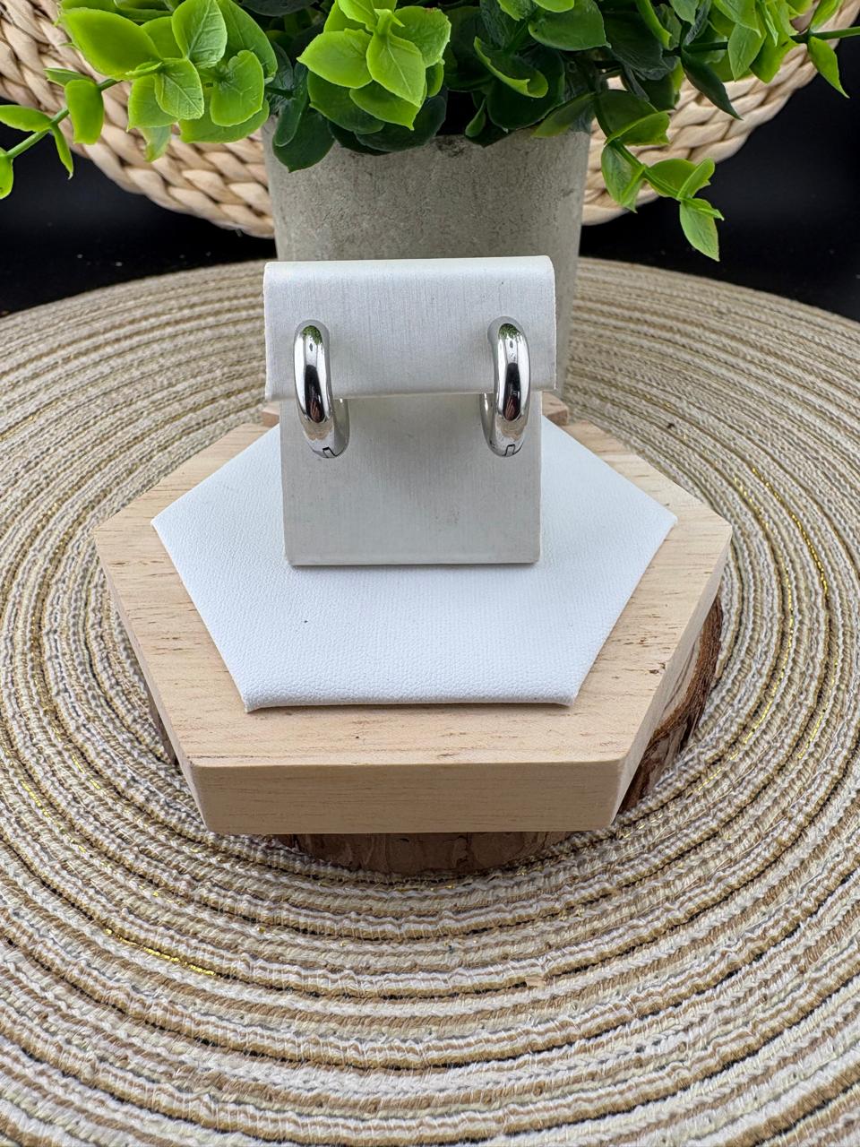 Stainless Steel Earrings #058