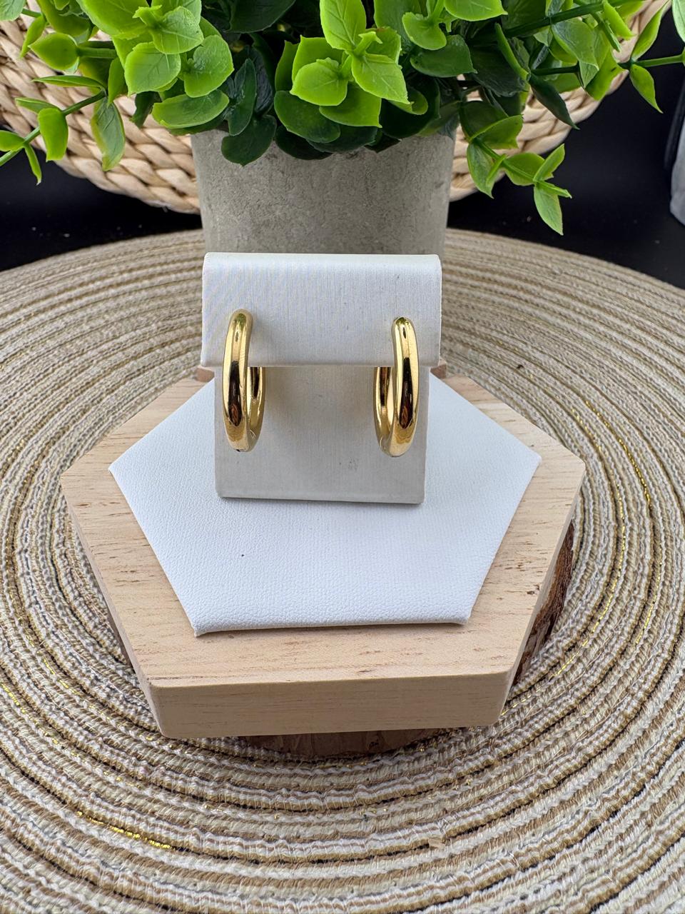 Stainless Steel Earrings #059