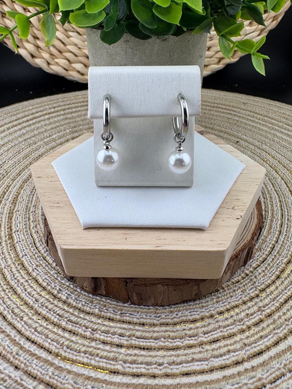 Stainless Steel Earrings #060