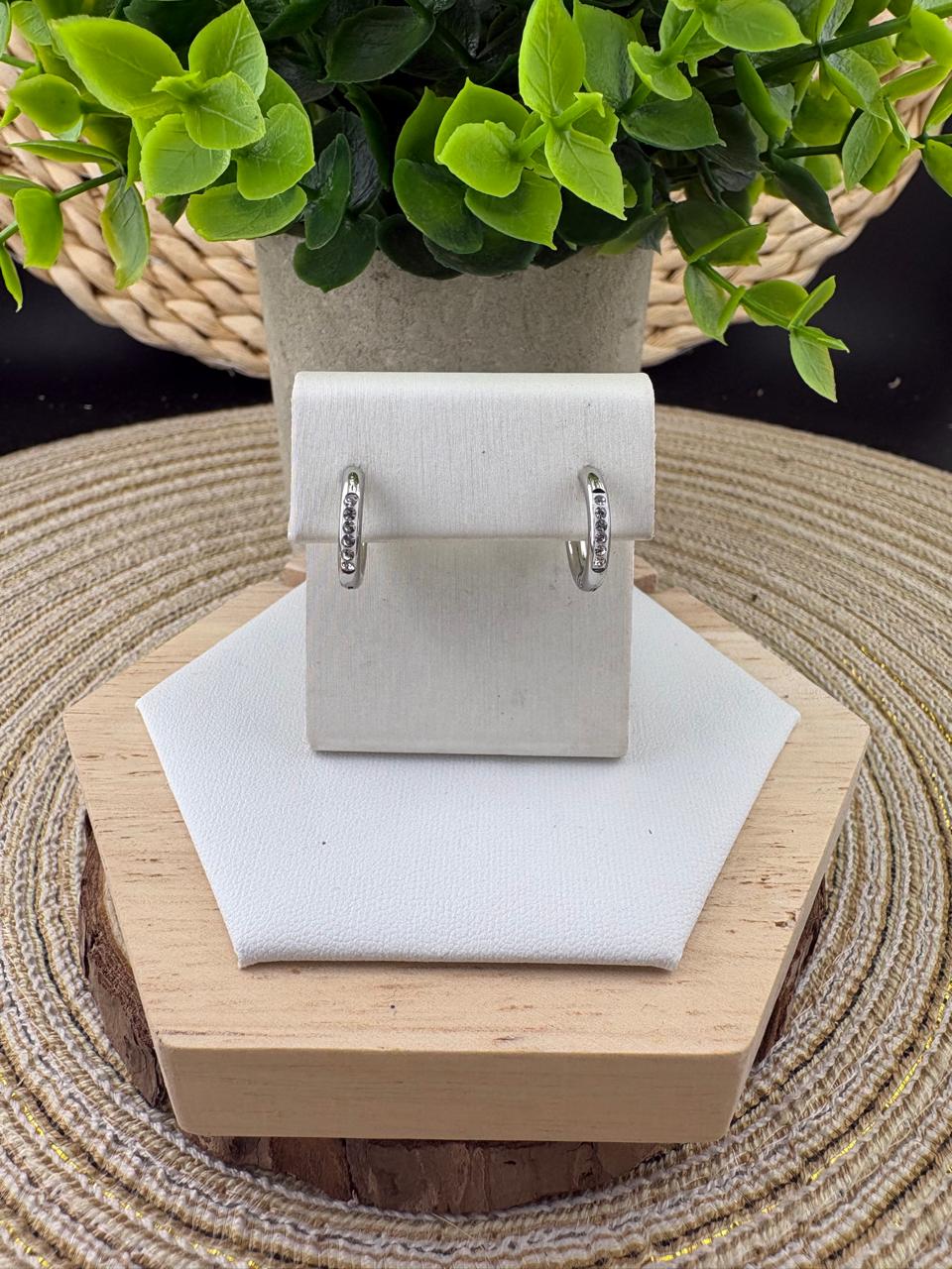 Stainless Steel Earrings #063