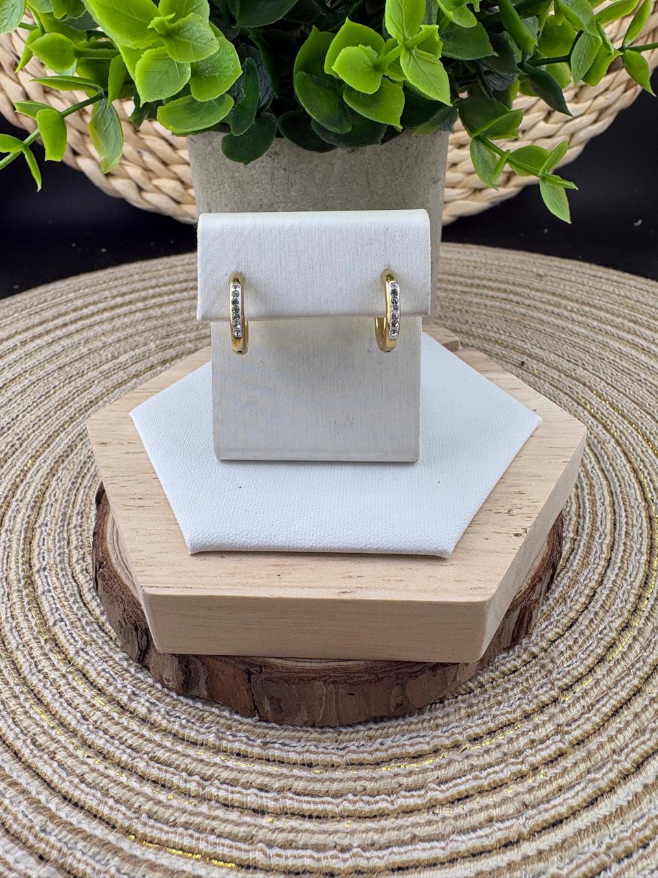 Stainless Steel Earrings #064