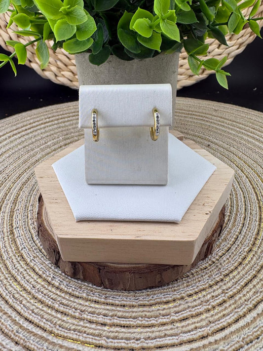Stainless Steel Earrings #064