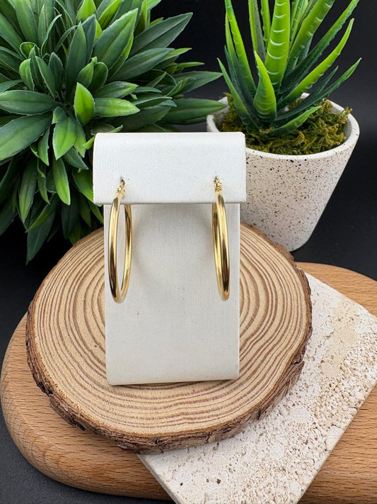 Stainless Steel Earring Hoop 25mm #011