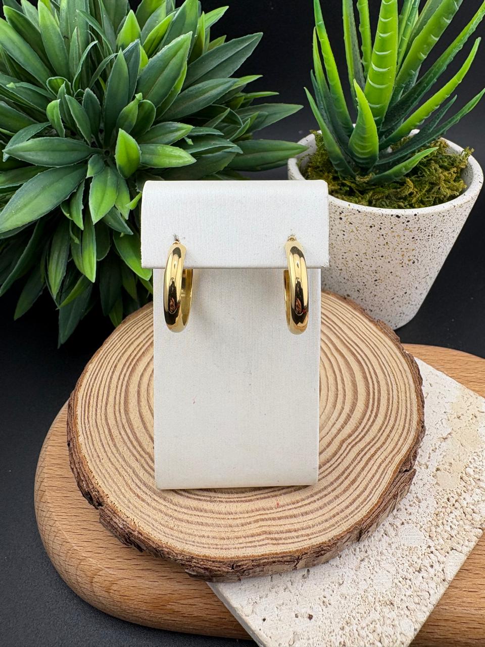 Stainless Steel Earring Chunky Hoop Gold #013