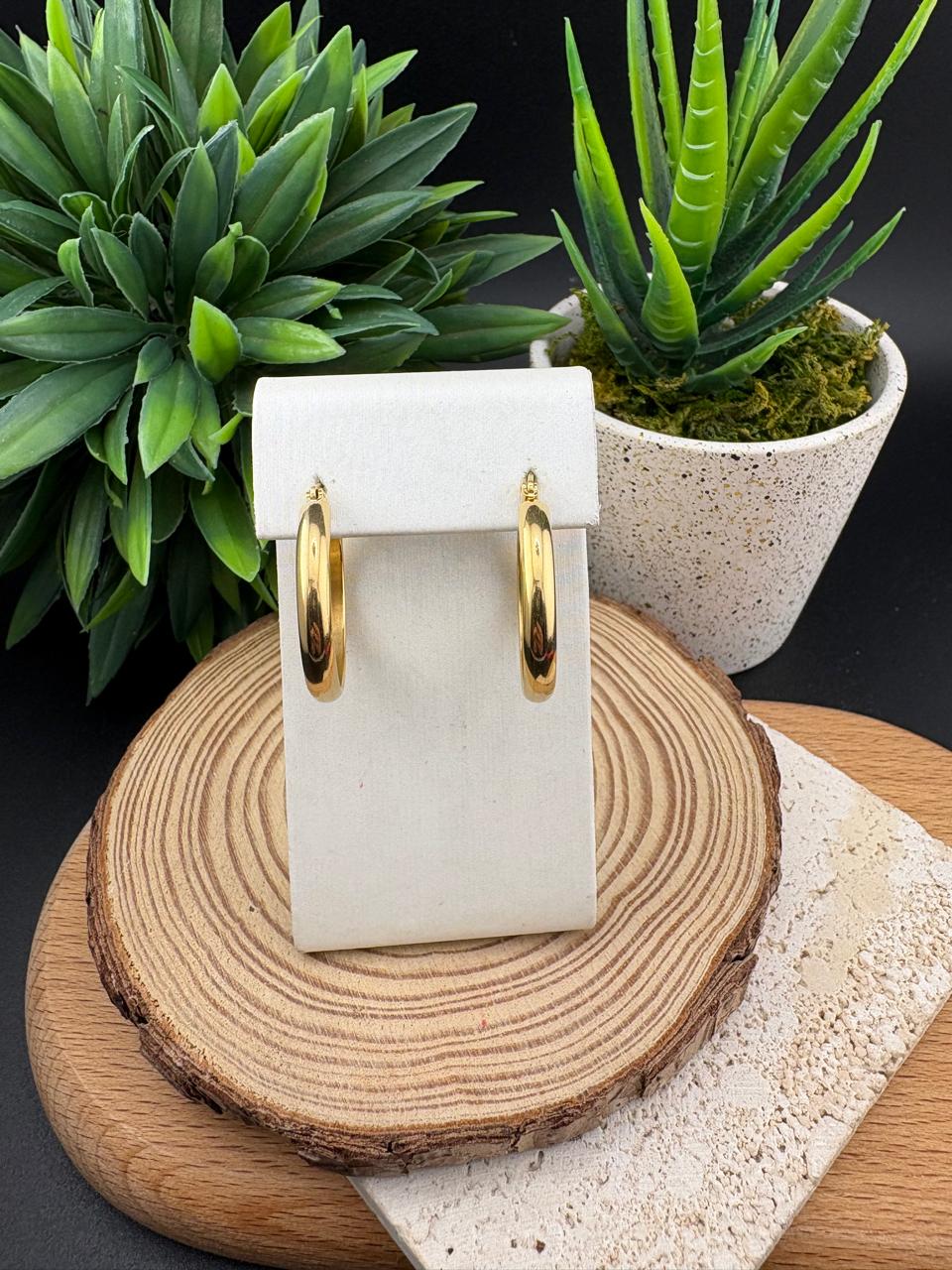 Stainless Steel Earring Hoop 20mm #014