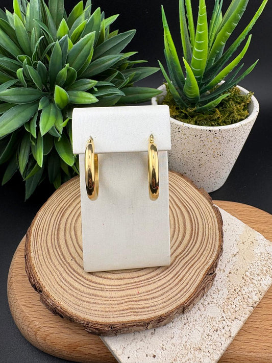 Stainless Steel Earring Hoop 20mm #014