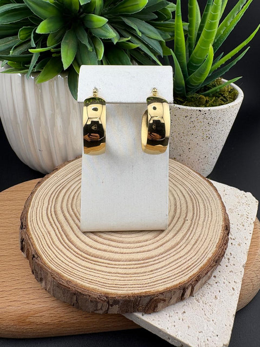 Stainless Steel Earrings Hoop #022