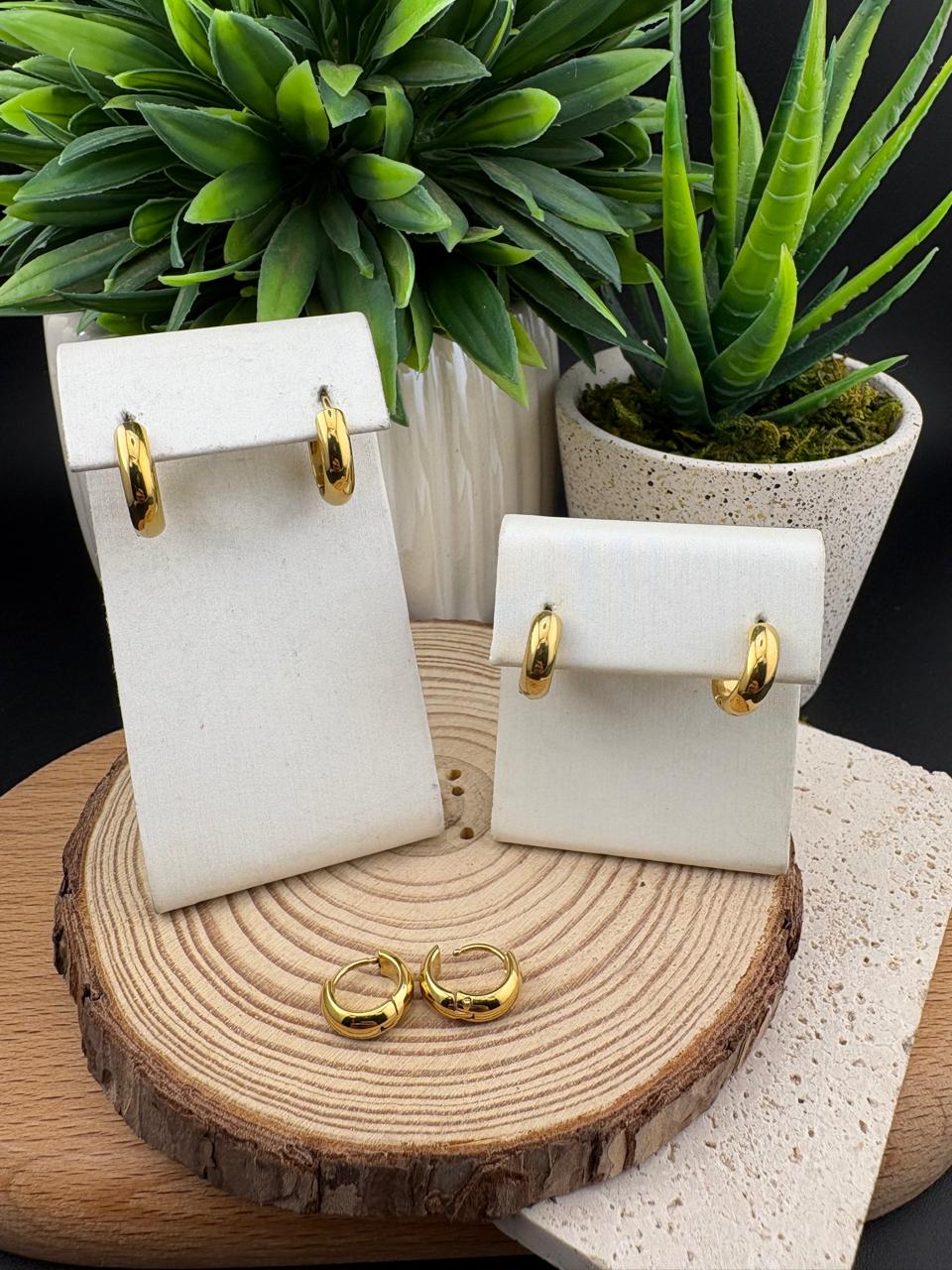 Stainless Steel Earrings Gold 3pc Set #025