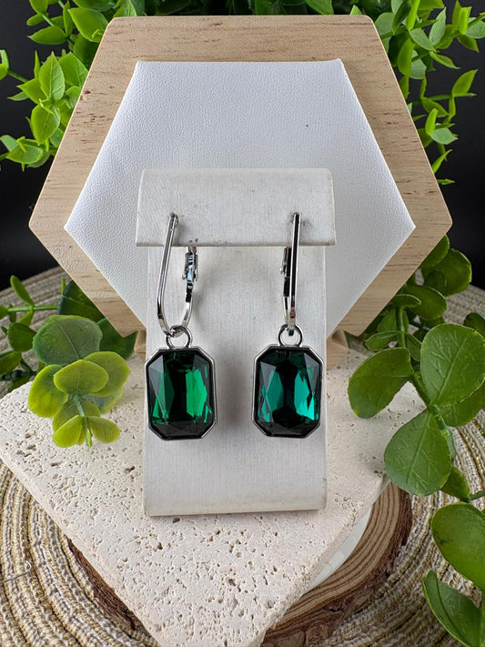 Fashion/Casual Earrings (006)