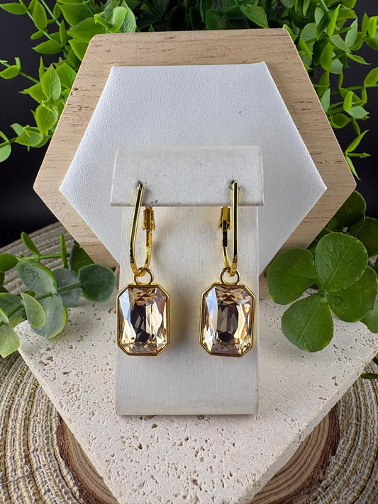 Fashion/Casual Earrings (007)