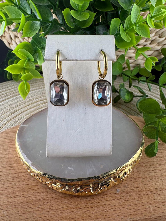 Stainless Steel Earrings #067