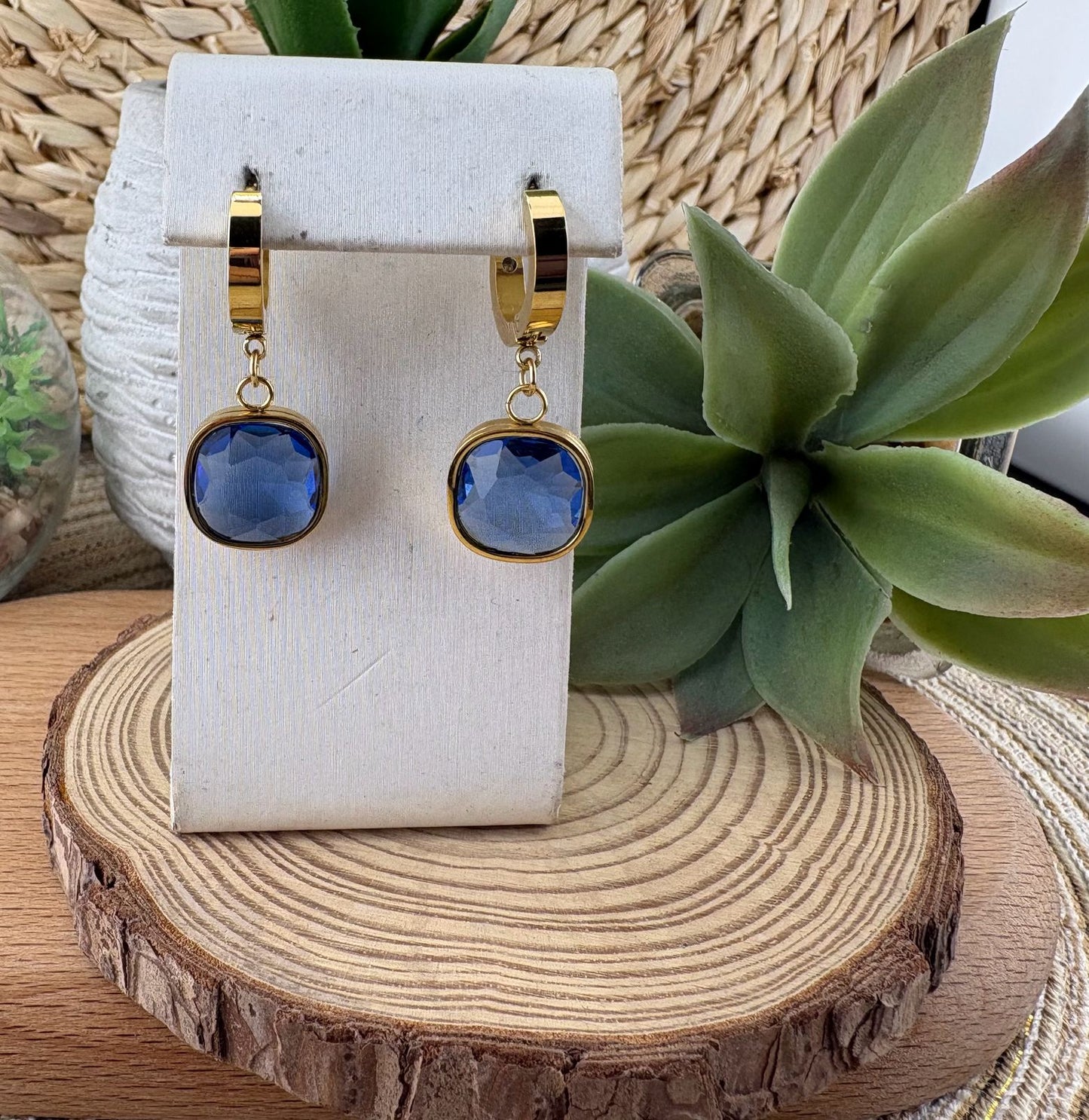 Stainless Steel Earrings #077