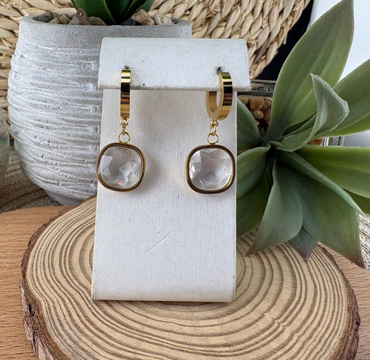 Stainless Steel Earrings #075 (Clear)