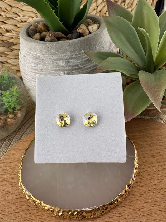 Stainless Steel Earrings #083
