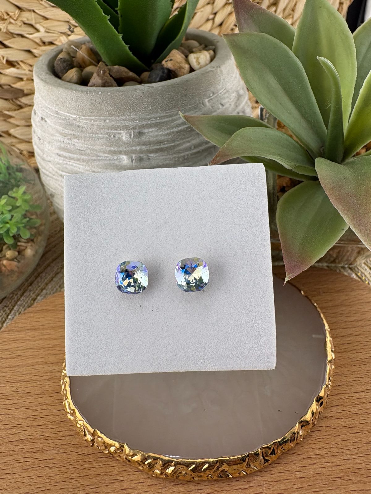 Stainless Steel Earrings #084
