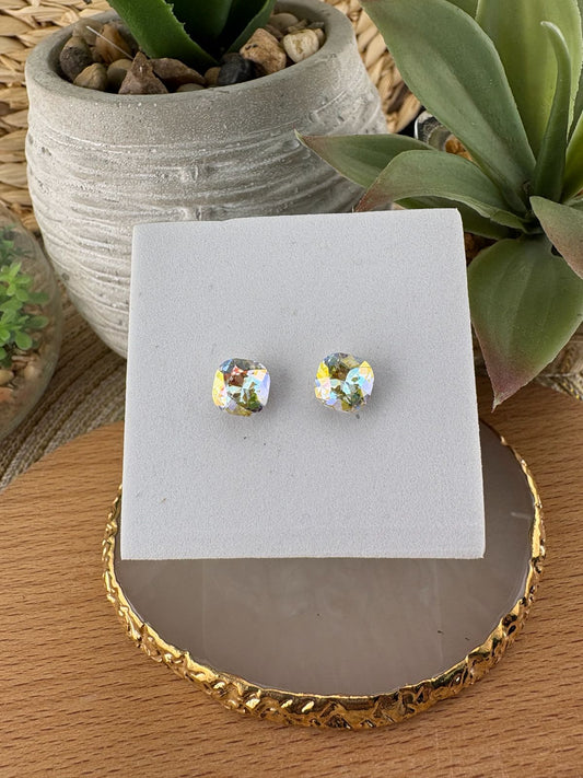 Stainless Steel Earrings #087
