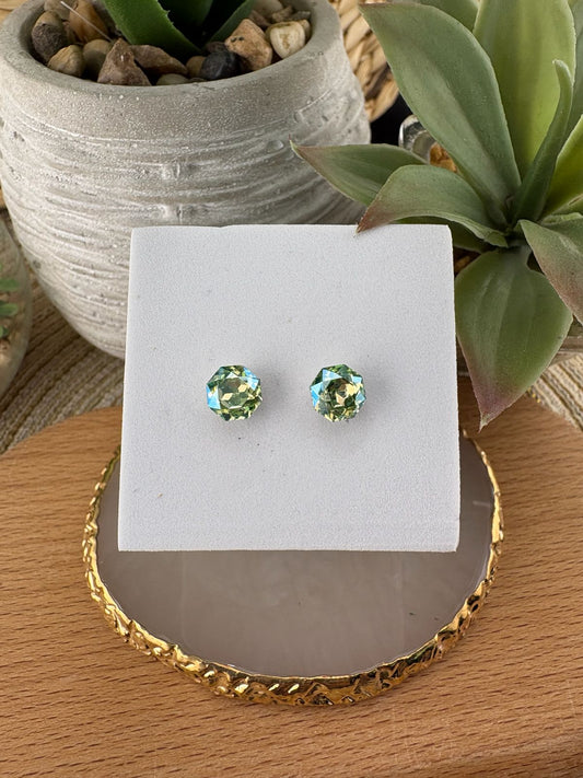 Stainless Steel Earrings #089
